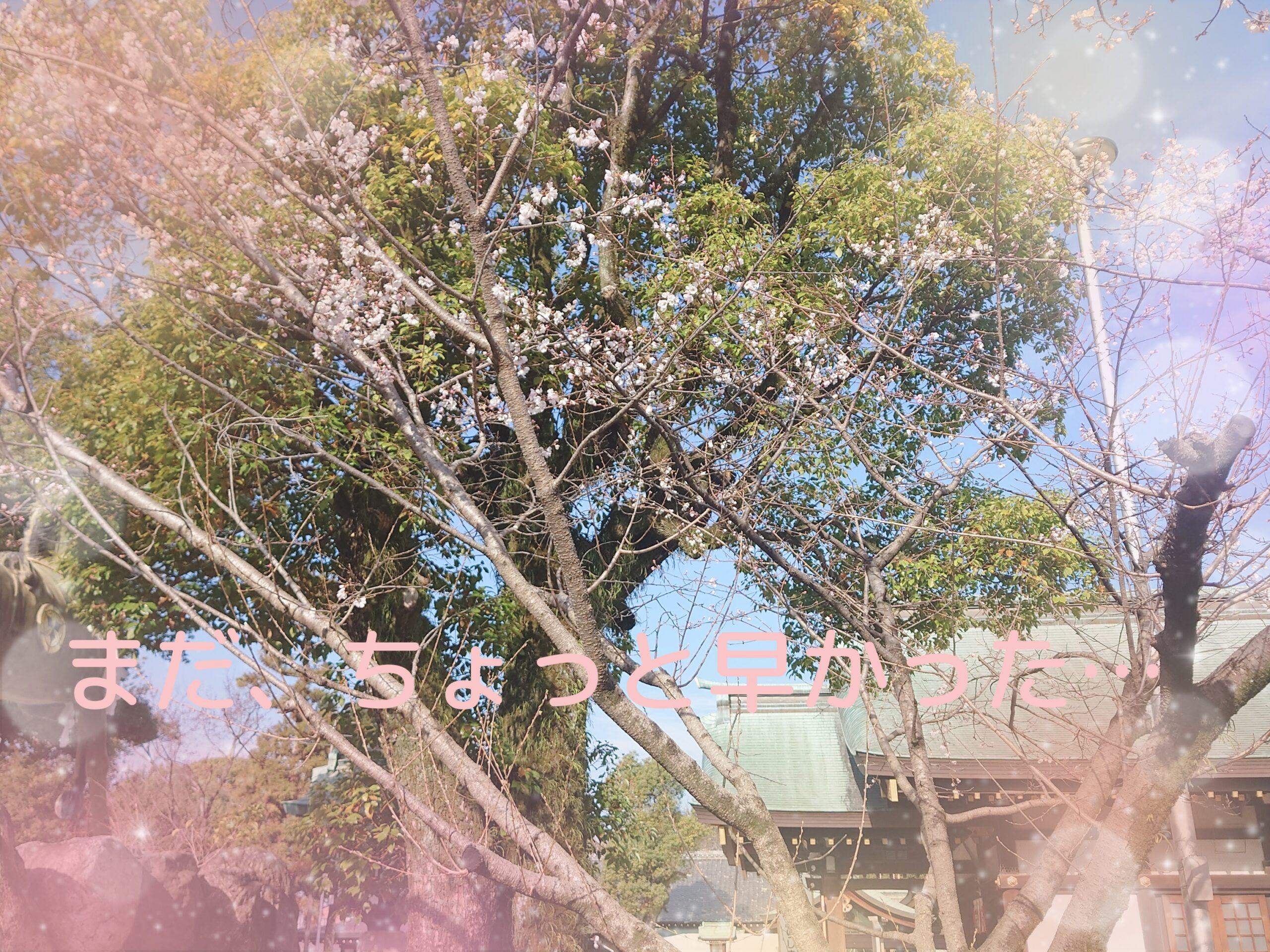 【チャットレディ】結果を出すチャットレディさんは“比べない”